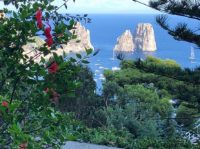 La Grande Bellezza Capri